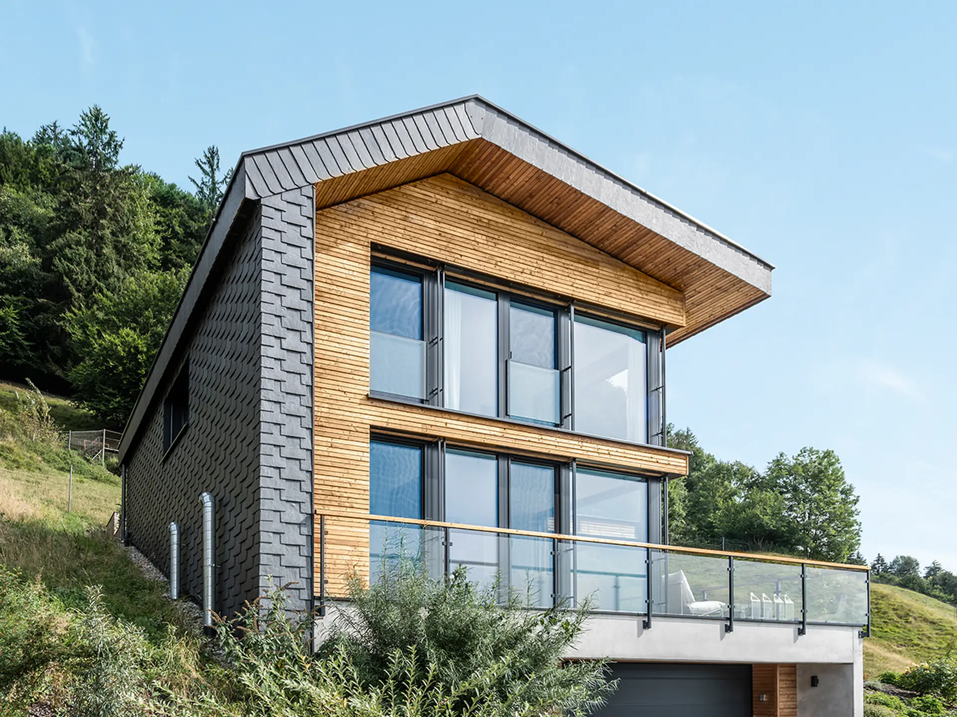 Timber-clad contemporary house with soft-edged windows